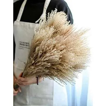 100 pcs Dried Pampas Grass for Wedding & Home Decor