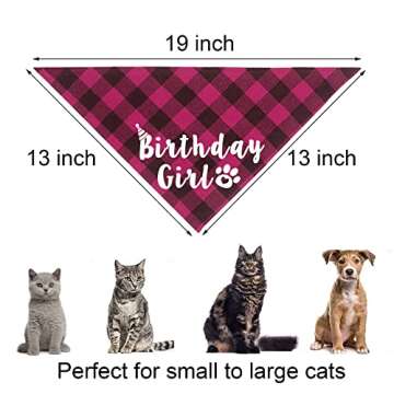 Celebrate with JOTFA Cat Birthday Party Pack - Fun & Festive!
