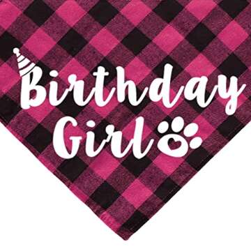 Celebrate with JOTFA Cat Birthday Party Pack - Fun & Festive!