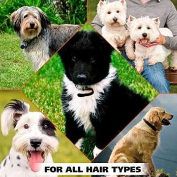 Wahl Pet Deodorant for Dogs - Eucalyptus & Spearmint  Refresh