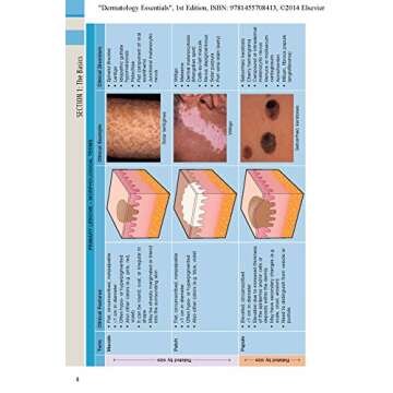 Explore Dermatology Essentials for Students and Professionals