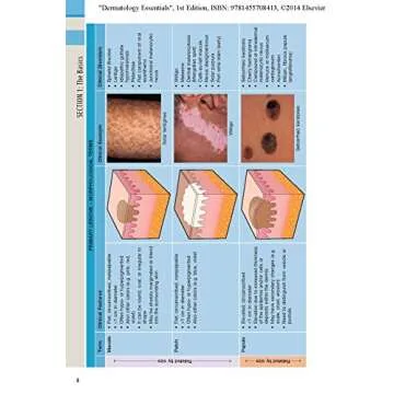 Explore Dermatology Essentials for Students and Professionals