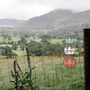 3 Pieces Pumpkin Decor Grateful Thankful Blessed Wall Signs,Rustic Hanging Welcome Door Sign for Autumn Harvest Thanksgiving Halloween Door Wall Decoration Indoor Outdoor Fall Decor for Home