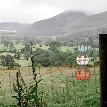 3 Pieces Pumpkin Decor Grateful Thankful Blessed Wall Signs,Rustic Hanging Welcome Door Sign for Autumn Harvest Thanksgiving Halloween Door Wall Decoration Indoor Outdoor Fall Decor for Home