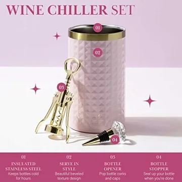 Chic Paris Hilton Wine Chiller Set for Entertainers