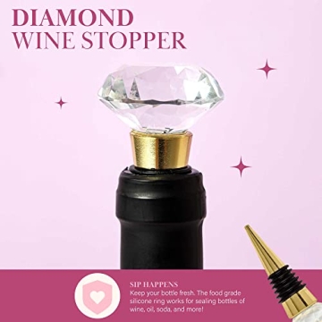 Chic Paris Hilton Wine Chiller Set for Entertainers