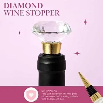 Chic Paris Hilton Wine Chiller Set for Entertainers