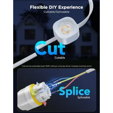 Govee Pro Outdoor Lights - 150ft RGBIC LED System