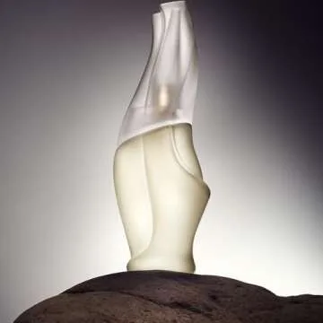 Donna Karan Cashmere Mist Eau de Toilette Spray for Women