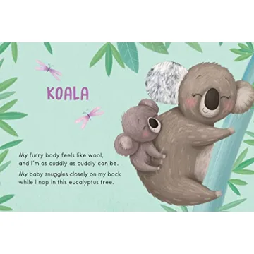 Wild Animals: A Touch and Feel Book - Children's Board Book - Educational