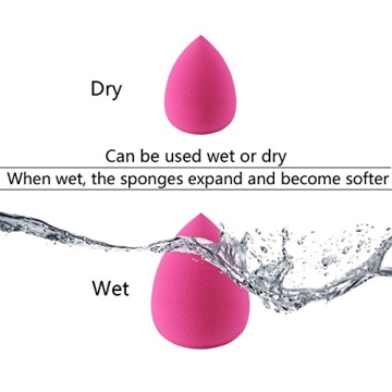 Professional 12+1 Makeup Brush Set with Bamboo Handle & Sponge