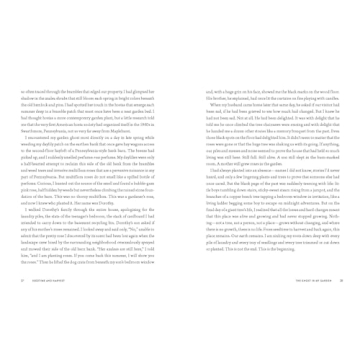 Seedtime and Harvest: How Gardens Grow Roots, Connection, Wholeness, and Hope