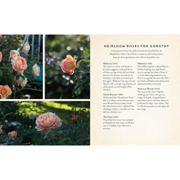 Seedtime and Harvest: How Gardens Grow Roots, Connection, Wholeness, and Hope