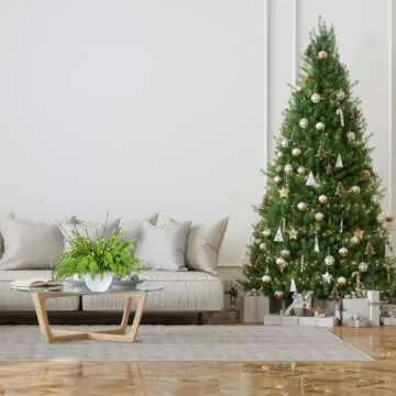 YoleShy 10 Pcs Christmas Artificial Norfolk Pine Branches with 2 Pcs Branches Greenery Norfolk Pine Stems for Christmas Decoration Indoor Xmas DIY Crafts Outdoor Home Decor