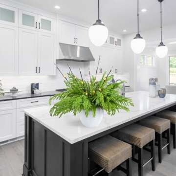 YoleShy 10 Pcs Christmas Artificial Norfolk Pine Branches with 2 Pcs Branches Greenery Norfolk Pine Stems for Christmas Decoration Indoor Xmas DIY Crafts Outdoor Home Decor