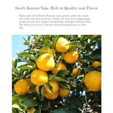 Damtuh Korean Honey Citron Tea Yuja Preserves – Natural Sweetness & Health Benefits