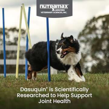 Nutramax Dasuquin with MSM Joint Health Supplement for Large Dogs - 150 Chewable Tablets