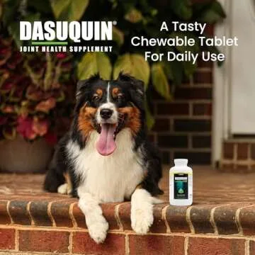 Nutramax Dasuquin with MSM Joint Health Supplement for Large Dogs