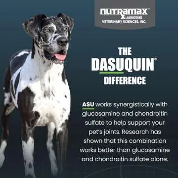 Nutramax Dasuquin with MSM Joint Health Supplement for Large Dogs
