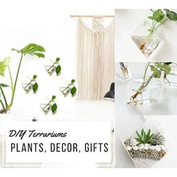 GeoTerrariums Diamond Terrariums Hanging Wall Planters, Clear Glass (7 x 5 inches), Pack of 4