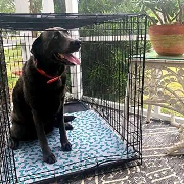 rocket & rex Premium Washable Pee Pads for Dogs | Potty Pads for Dog Training Pads | Absorbent Dog Crate Pad | Reusable & Waterproof Dog Pee Pads | Single Purchase, Reduces Waste | 2-Pack, 30 x 36