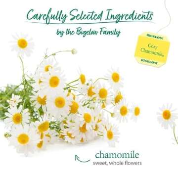 Bigelow Tea Cozy Chamomile Herbal Tea, Caffeine Free Tea with Chamomile Flowers, 20 Count Box (Pack ...