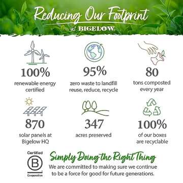 Bigelow Tea Cozy Chamomile Herbal Tea, Caffeine Free Tea with Chamomile Flowers, 20 Count Box (Pack of 6), 120 Total Tea Bags