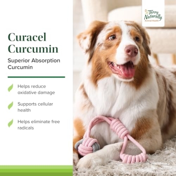 Terry Naturally Curacel Curcumin 60 Softgels for Dogs