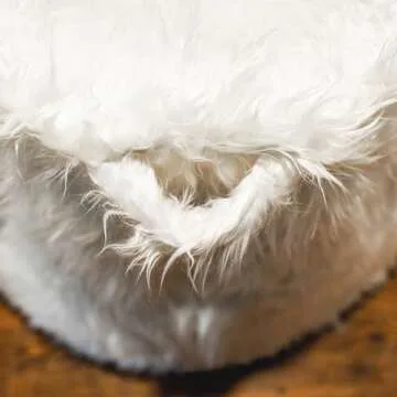 Big Joe Milano Bean Bag Chair, Ivory Shag Fur, Soft Faux Fur, 2.5 feet