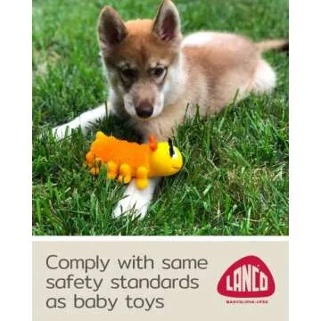 Sensory Caterpillar - Squeaky Dog Toys - Soft, Natural Rubber (Latex) - for Puppies, Small Dogs & Me...