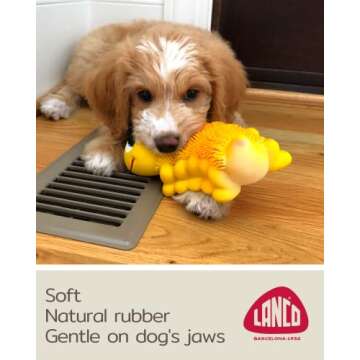 Sensory Caterpillar - Squeaky Dog Toys - Soft, Natural Rubber (Latex) - for Puppies, Small Dogs & Medium Breeds - Free from Harmful Chemicals - Handpainted