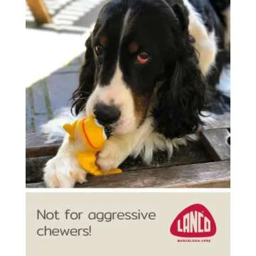 Sensory Caterpillar - Squeaky Dog Toys - Soft, Natural Rubber (Latex) - for Puppies, Small Dogs & Medium Breeds - Free from Harmful Chemicals - Handpainted