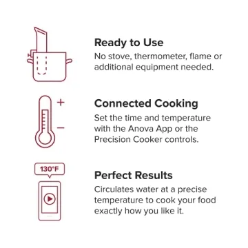 Anova Culinary (ANOVA)ᴿᴱᴰ Precision Cooker Nano, Black, Small