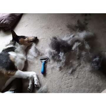 Thstheaven Pet Grooming Brush & Nail Clippers Trimmers - Double Sided Shedding and Dematting Undercoat Rake Comb for Dogs and Cats - Safe Dematting Comb for Easy Mats & Tangles Removing (Blue), Large