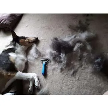 Thstheaven Pet Grooming Brush & Nail Clippers Trimmers - Double Sided Shedding and Dematting Undercoat Rake Comb for Dogs and Cats - Safe Dematting Comb for Easy Mats & Tangles Removing (Blue), Large