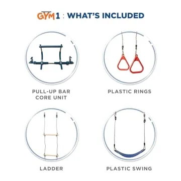 Gym1 Doorway Swing Set for Kids and Adults