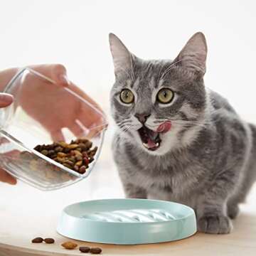 Maitys Cat Slow Feeder Bowl for Healthy Eating Solutions