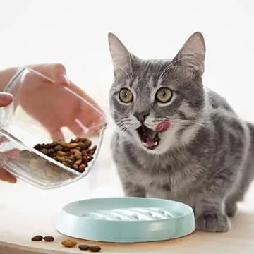 Maitys Cat Slow Feeder Bowl for Healthy Eating Solutions