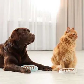 Maitys Cat Slow Feeder Bowl for Healthy Eating Solutions