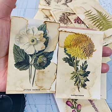 Vilikya DIY Scrapbooking Supplies, Handmade Coffee Dyed Paper for Junk Journal Ephemera, 33Pcs Vintage Decoration Label for Craft Paper, Flora Plants and Ticket for TN Journaling Embellishments Kit
