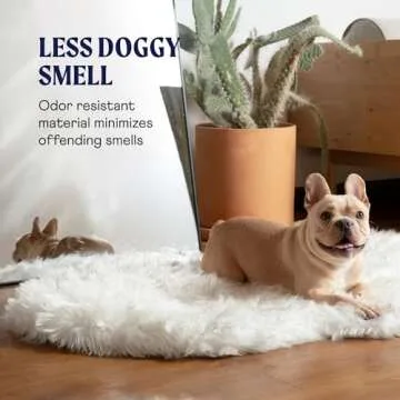 PupRug Orthopedic Dog Bed for Large Dogs with Fluffy Soft Faux Fur and Memory Foam for Joint Pain Relief, Machine Washable and Waterproof Couch Bed, White with Brown Accents, Large/Extra Large