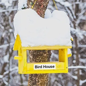 Label KINGDOM TZe-251 24mm Label Tape - Reliable & Versatile