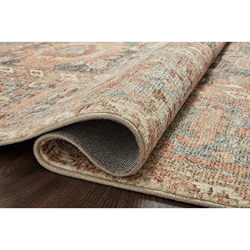 Loloi Margot Collection Beautiful Area Rug for Homes