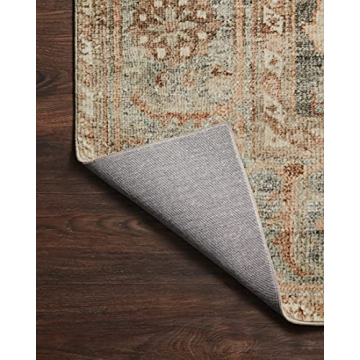 Loloi Margot Collection Beautiful Area Rug for Homes