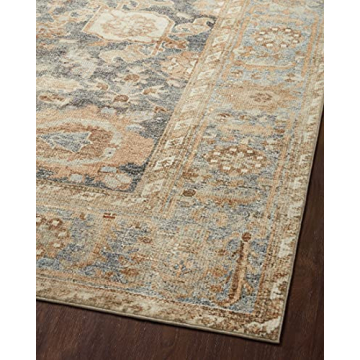 Loloi Margot Collection Beautiful Area Rug for Homes