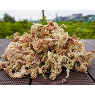 Kapecute Sphagnum Moss for Plants and Reptiles 10oz