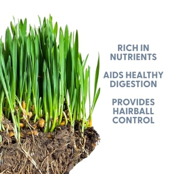 The Cat Ladies Organic Cat Grass Seed Non-GMO Great for Pets