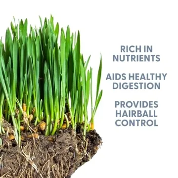 The Cat Ladies Organic Cat Grass Seed Non-GMO Great for Pets