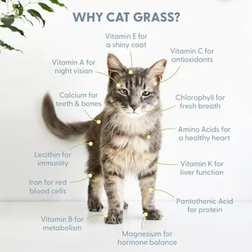 The Cat Ladies Organic Cat Grass Seed Non-GMO Great for Pets