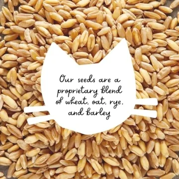 The Cat Ladies Organic Cat Grass Seed Non-GMO Great for Pets